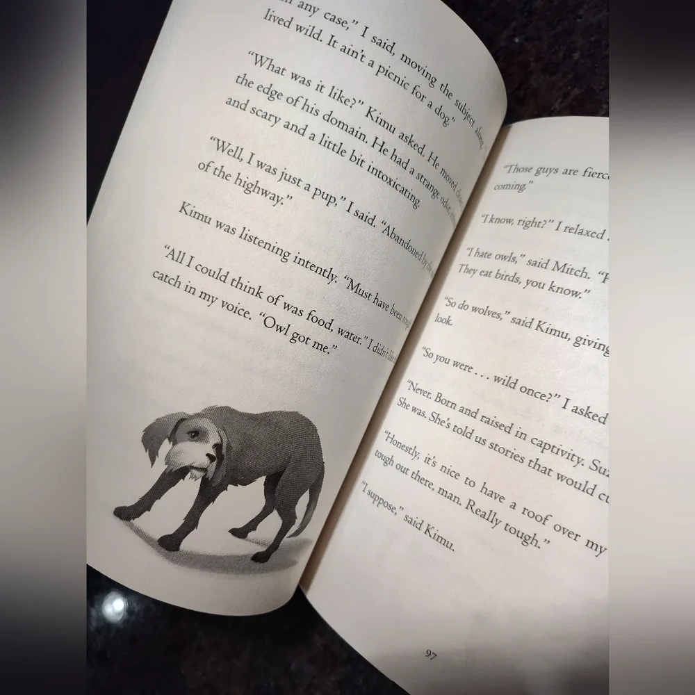 The One and Only Bob Book, Hardcover